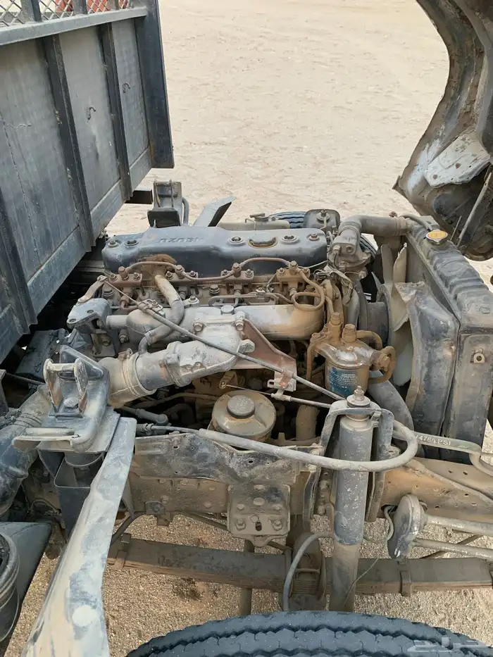 دينا شبك مديل 1994 17