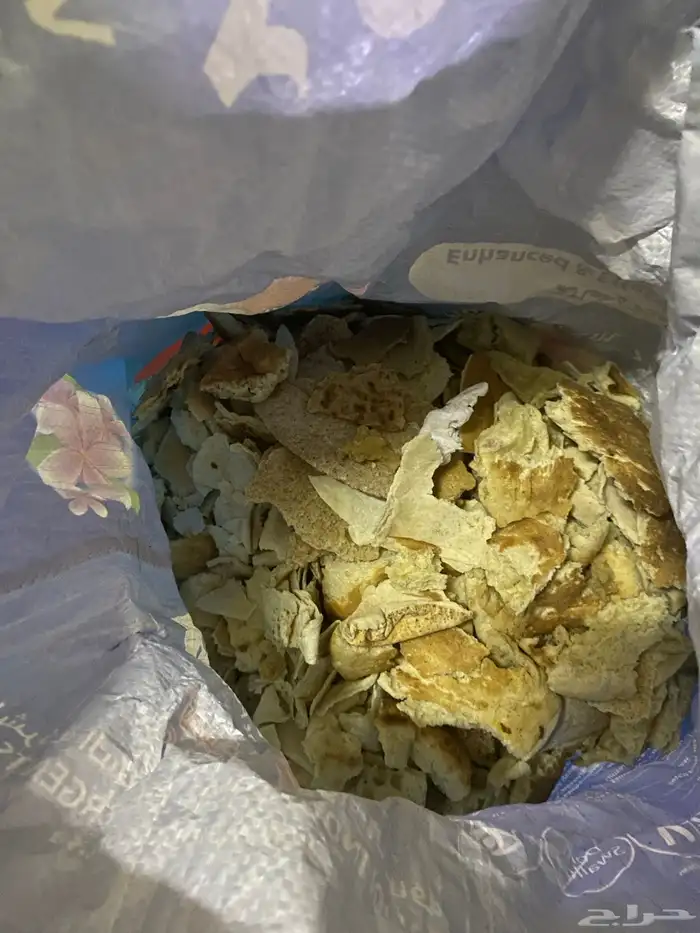 يوجد 2 كيس كبير خبز والخبز مافيه اي عفن كله نظيف 1