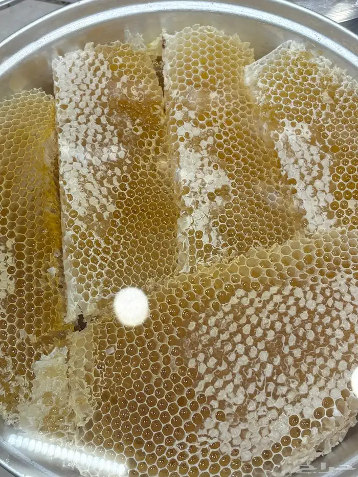 محايل عسير 0