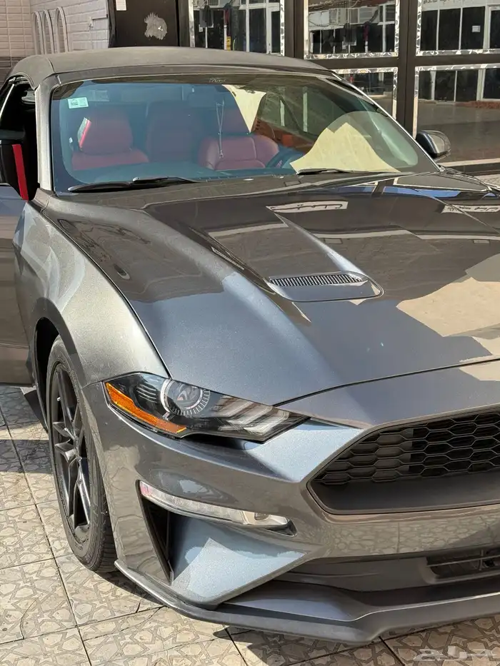 موستنج 2018 12