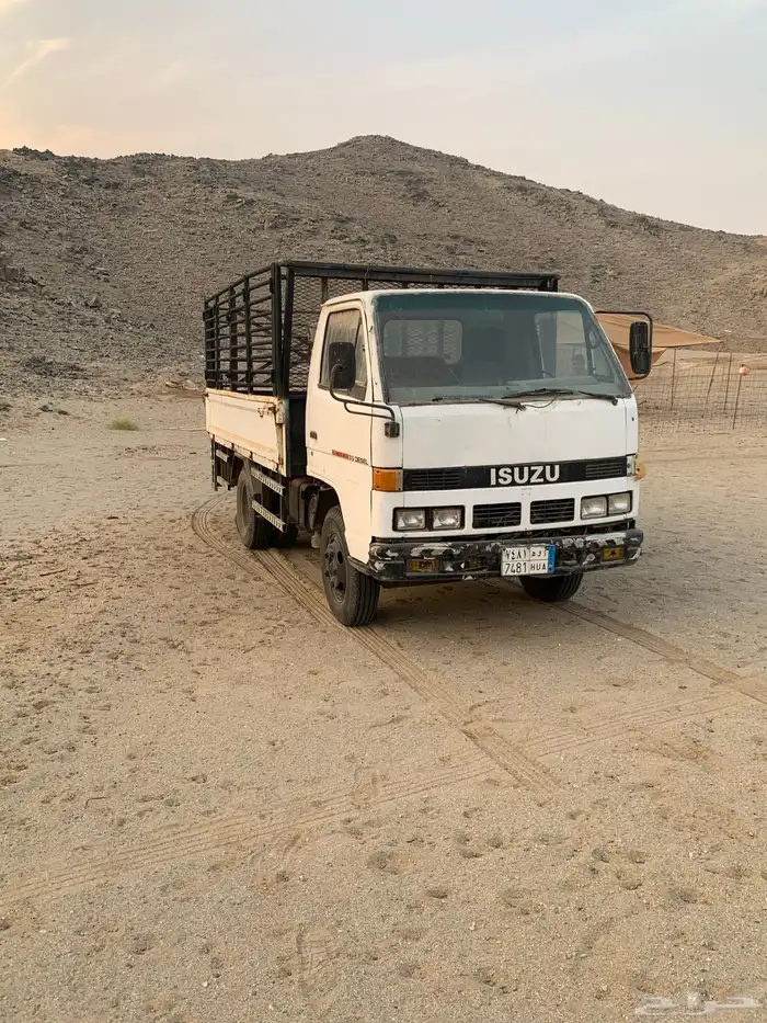 دينا شبك مديل 1994 8