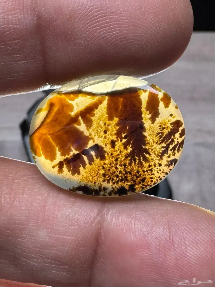 عقيق يماني شجري مصور 4