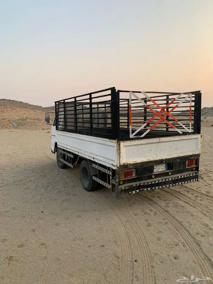 دينا شبك مديل 1994 3