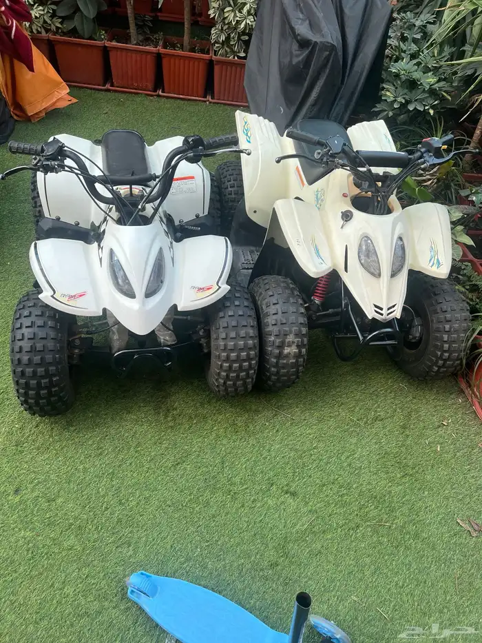 دباب تايواني مقاس 80 0