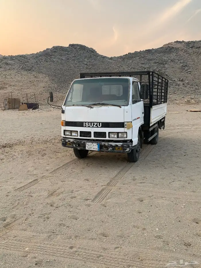 دينا شبك مديل 1994 7