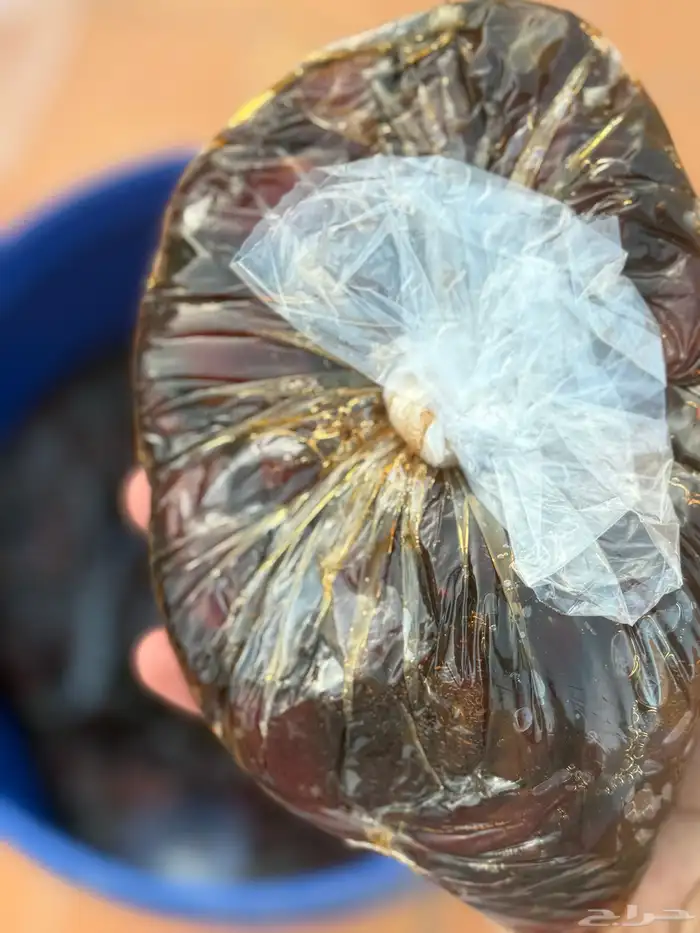 يوجد تمر حلوه الجوف مكنوز شغل فاخر 4