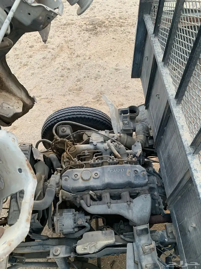 دينا شبك مديل 1994 14