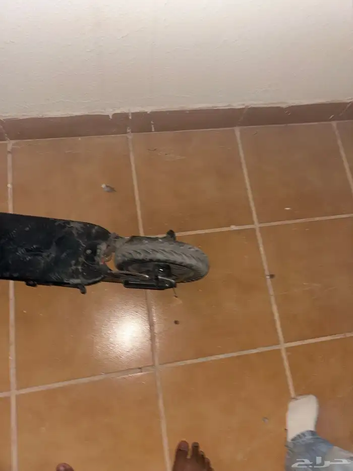 سكوتر شاومي 3