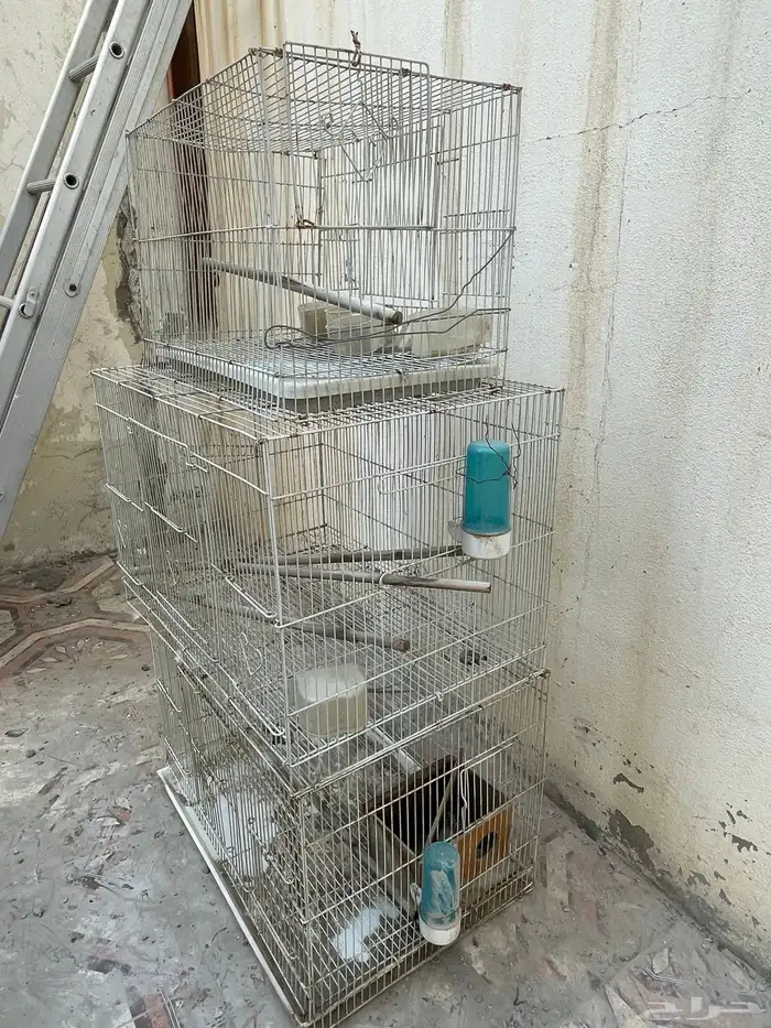 اقفاص طيور للبيع 2