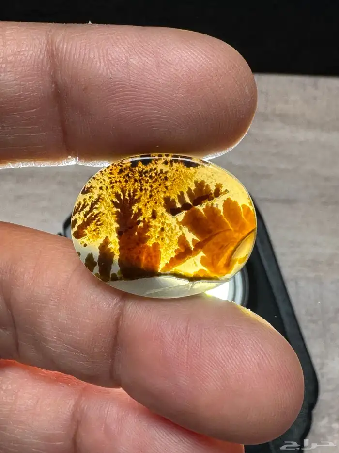 عقيق يماني شجري مصور 7