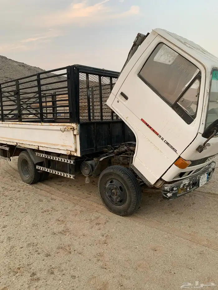 دينا شبك مديل 1994 16