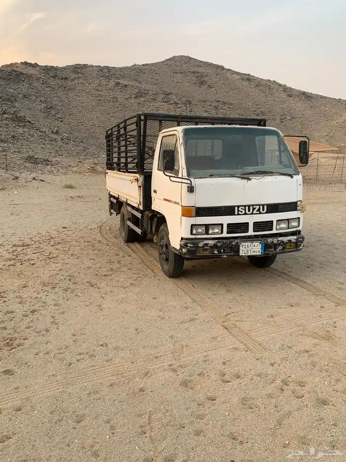 دينا شبك مديل 1994 9