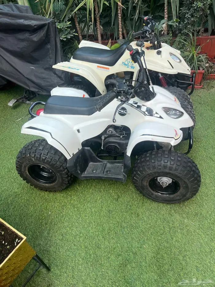 دباب تايواني مقاس 80 1