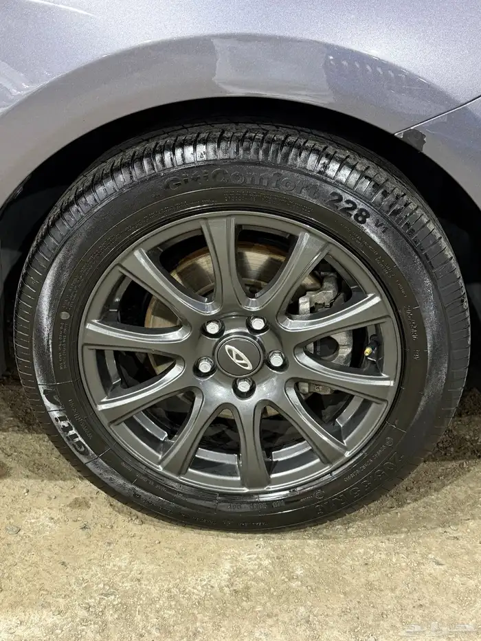 شيري اريزو5 2024 9