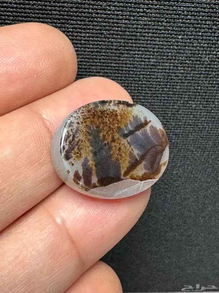 عقيق يماني شجري مصور 11