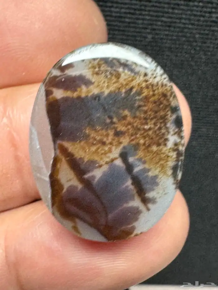 عقيق يماني شجري مصور 15