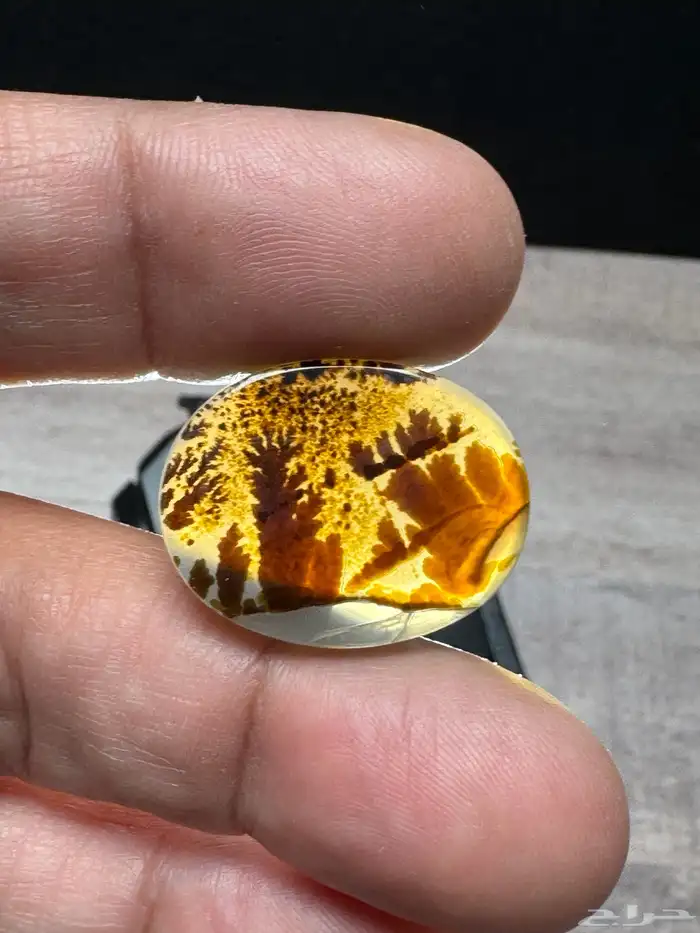 عقيق يماني شجري مصور 5