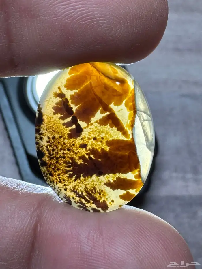 عقيق يماني شجري مصور 6