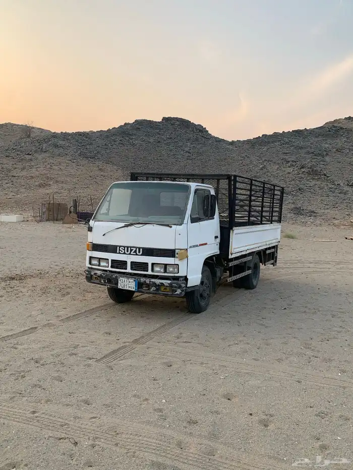 دينا شبك مديل 1994 4