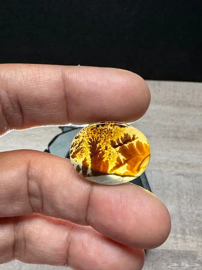 عقيق يماني شجري مصور 9