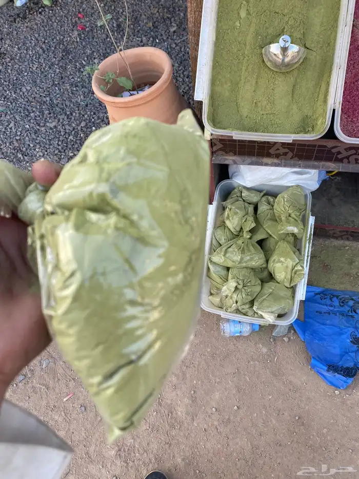 حنا سدر جميع انواع الشعر 4