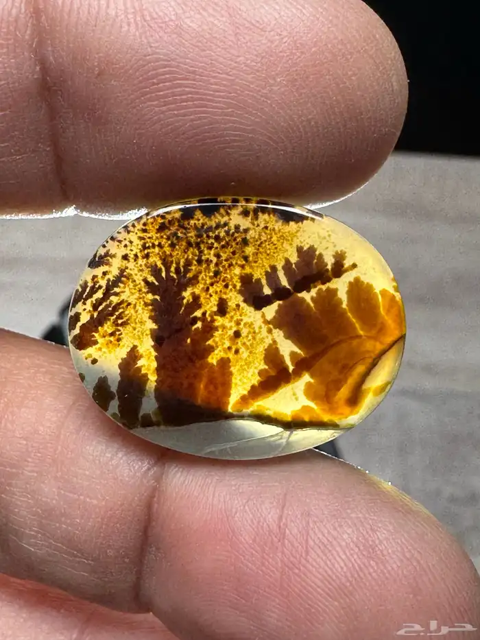 عقيق يماني شجري مصور 8