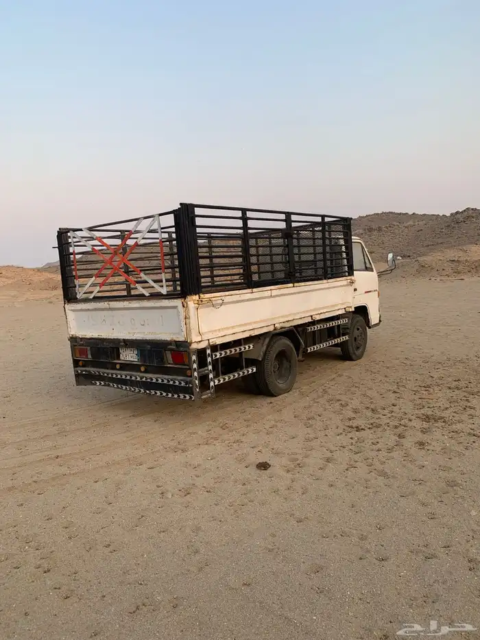 دينا شبك مديل 1994 2