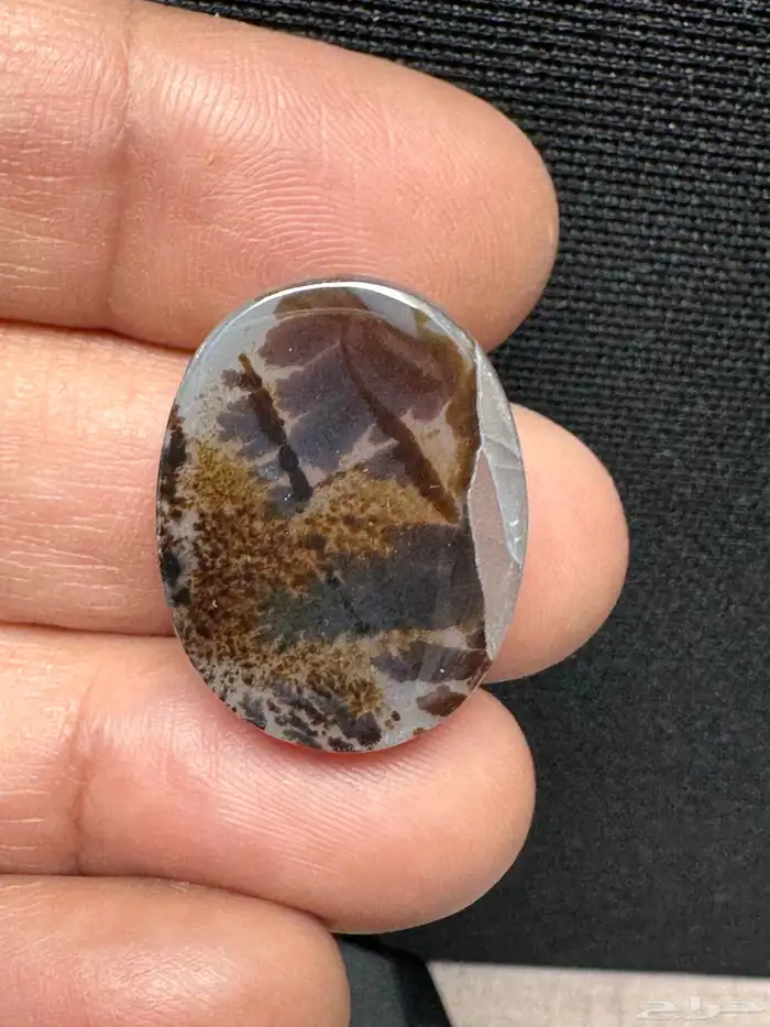 عقيق يماني شجري مصور 19