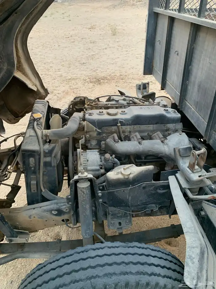 دينا شبك مديل 1994 13