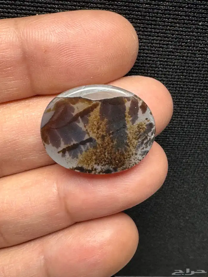 عقيق يماني شجري مصور 21