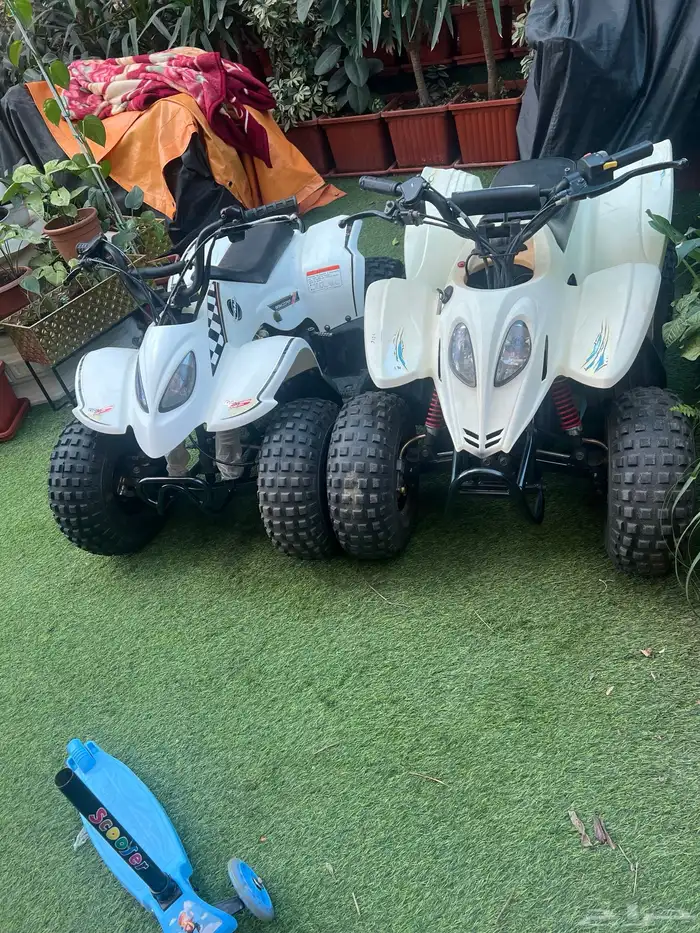 دباب تايواني مقاس 80 3