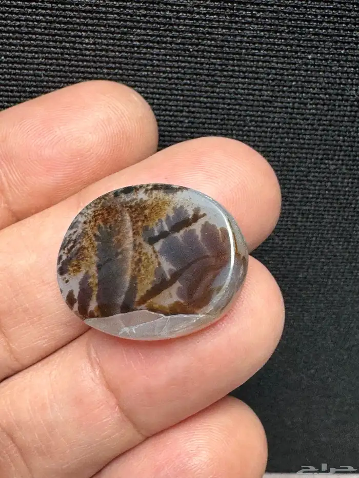 عقيق يماني شجري مصور 12