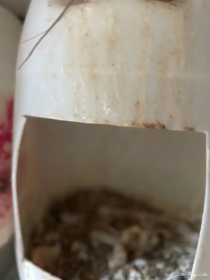 حمام فرنسي 9