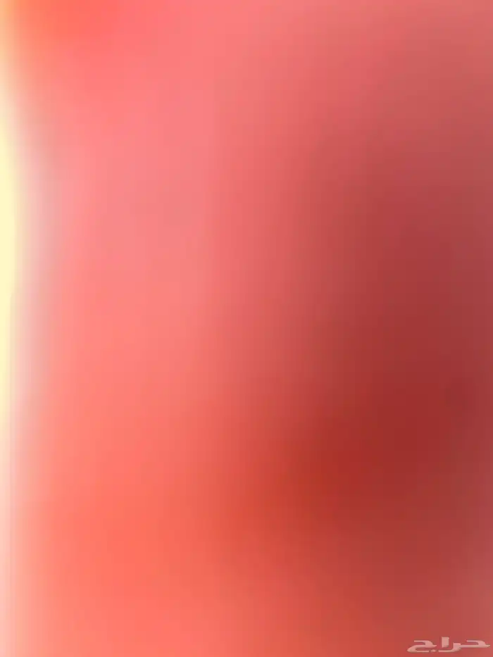 مطلوب شقة الضاحية 0