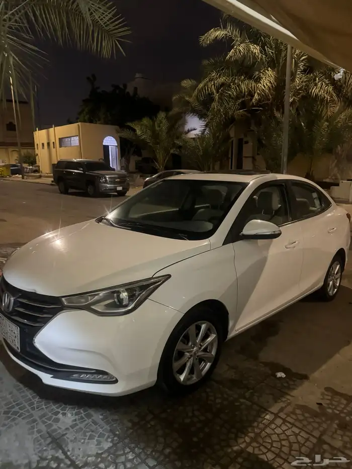 شانجان السفن للبيع 1