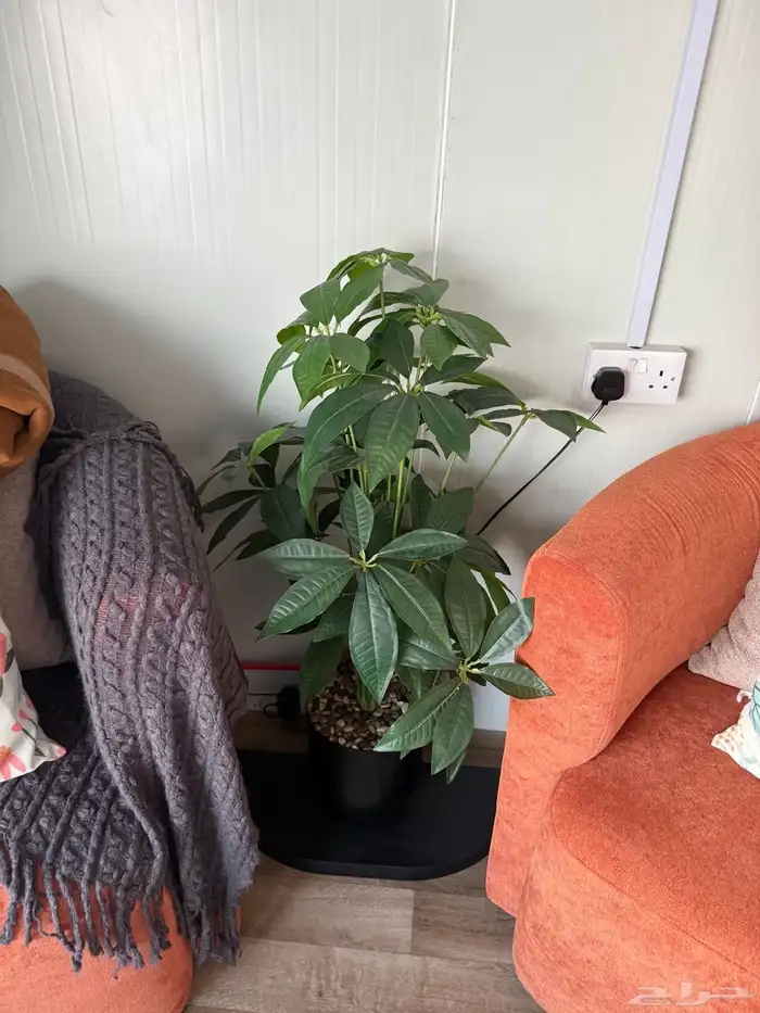 كرفان ( للبيع ) 15