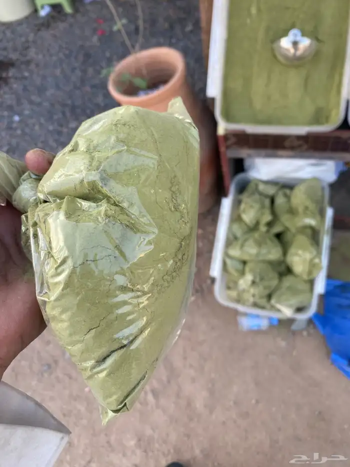 حنا سدر جميع انواع الشعر 1