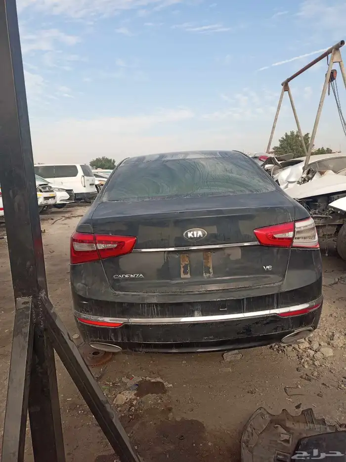 تشليح كادينزا 2015 0