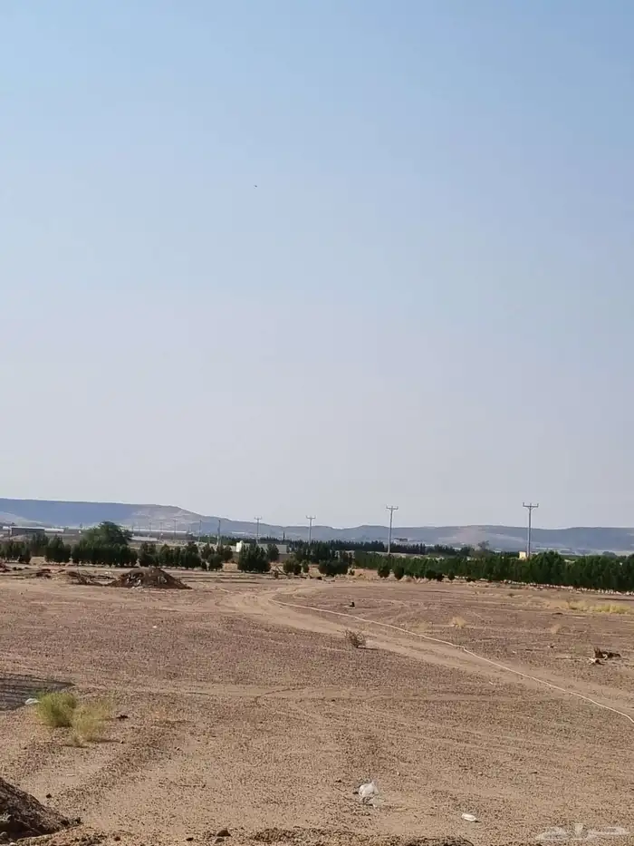 مزرعه للايجار 0