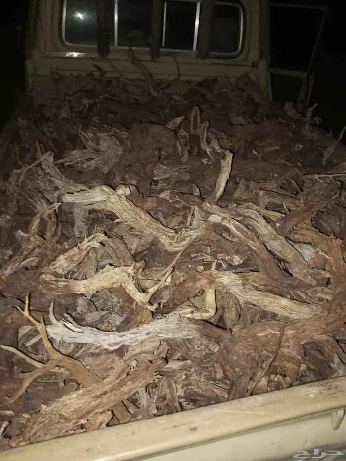 حطب ارطا مسحة شاص تيماء فغط 0