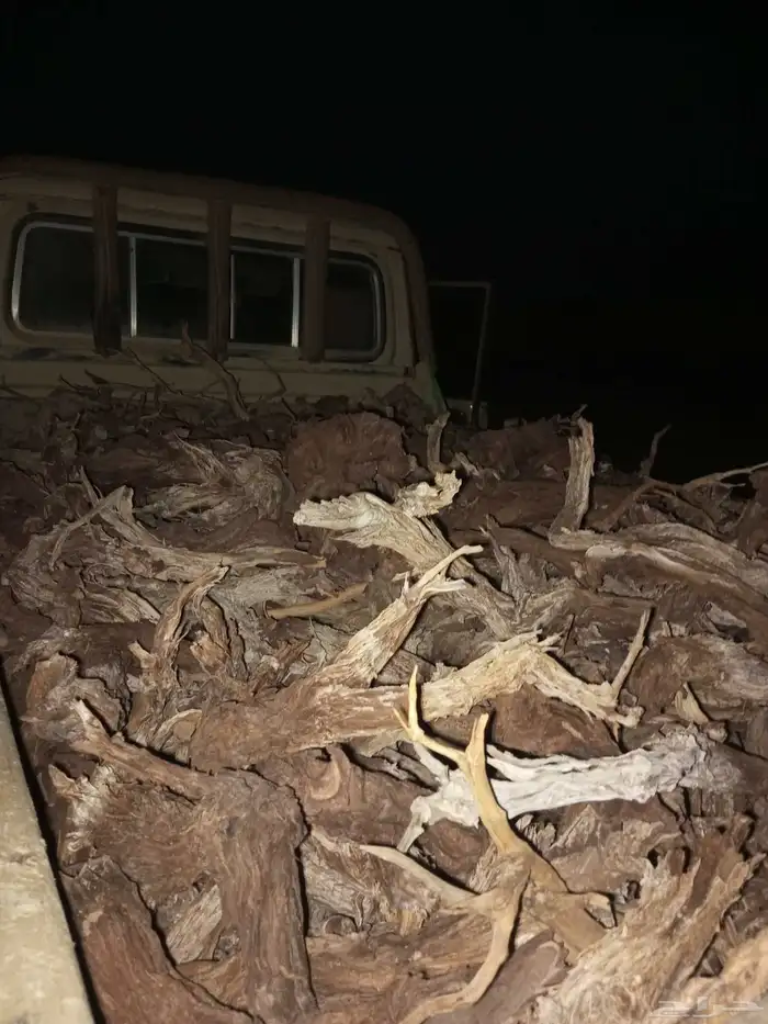 حطب ارطا مسحة شاص تيماء فغط 1