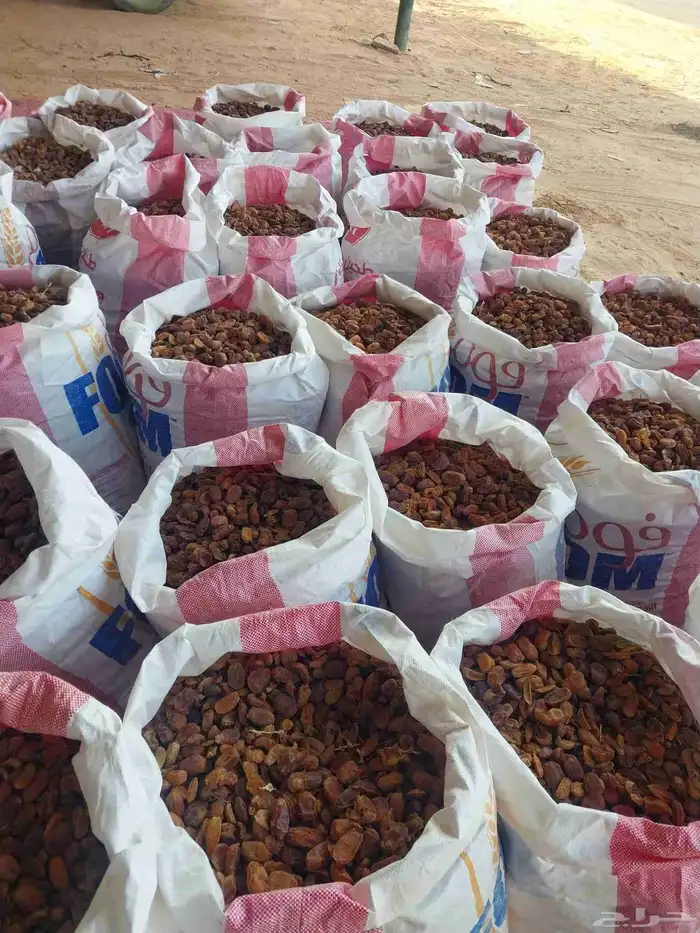 تمر حلال تمر ناشف ولين 0