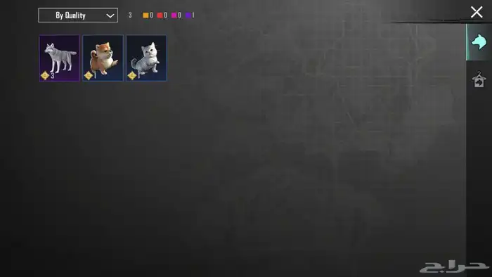 حساب ببجي الكوريه 20