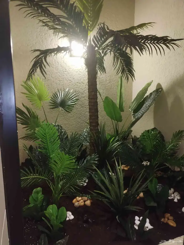 تنسيق حدائق 1