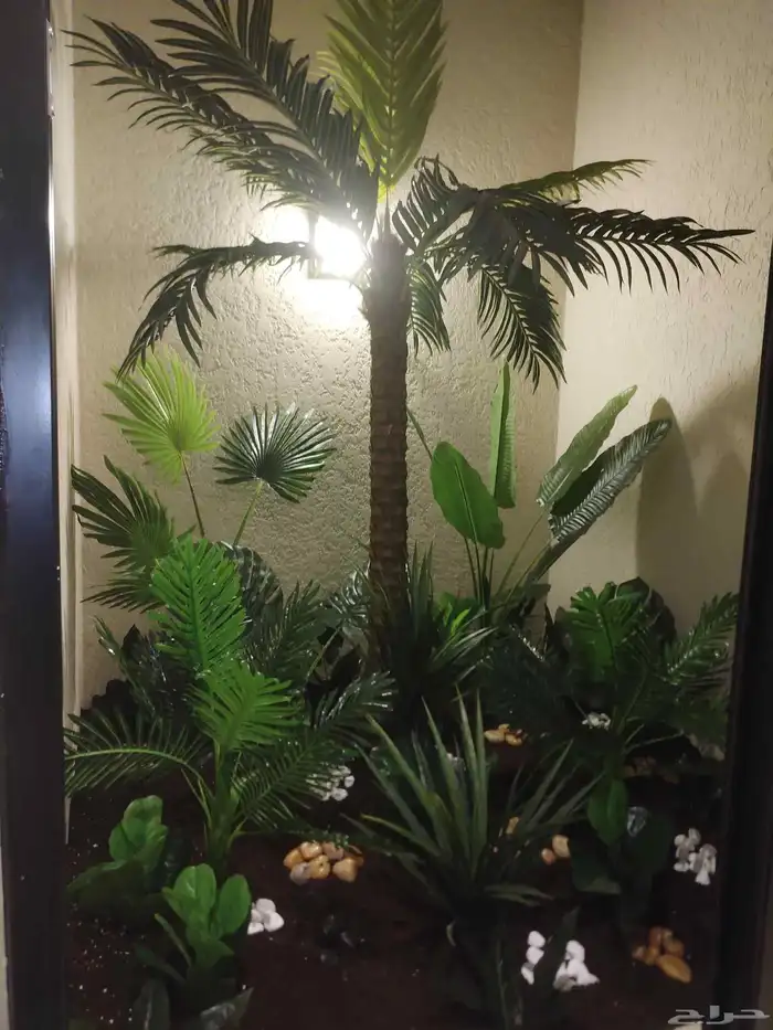 تنسيق حدائق 0