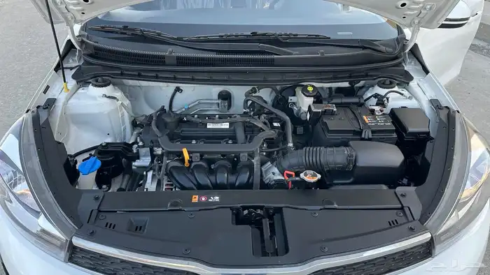 كيا بيجاس 2024 15