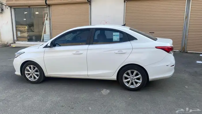 شانجان السفن 2023 4