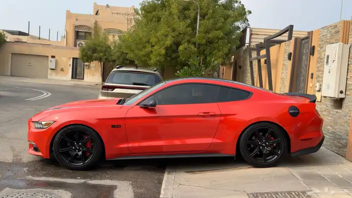 جنوط موستنج وكاله 0