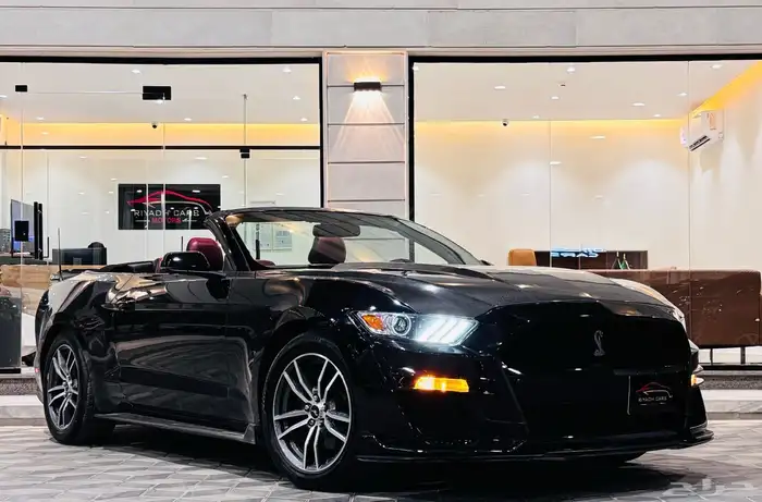 فورد موستنج 2017 كشف ( عرض خاص ) 0