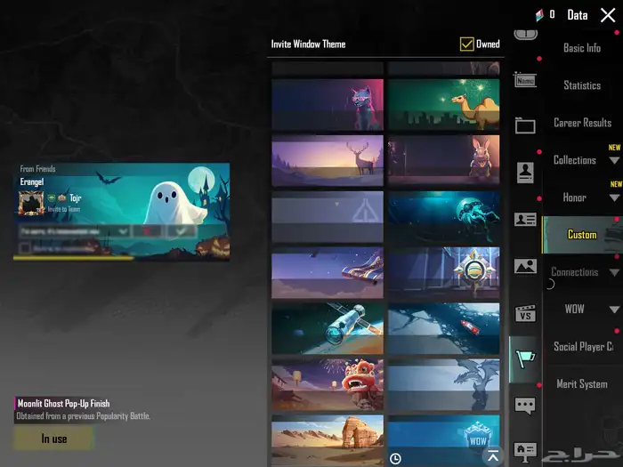 حساب ببجي فخم بسعر معقول 10